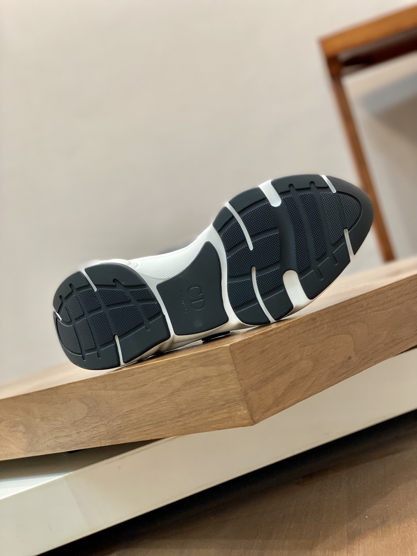 DIOR B22