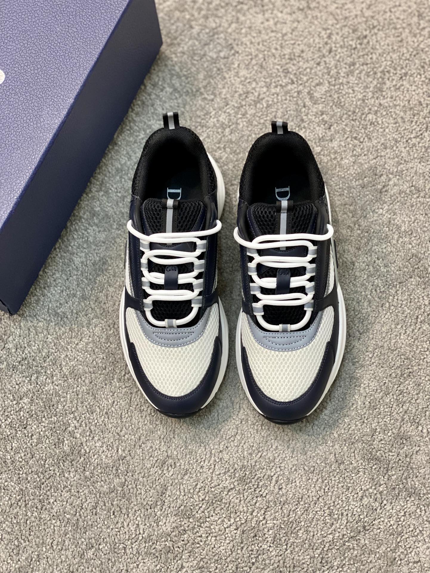 DIOR B22