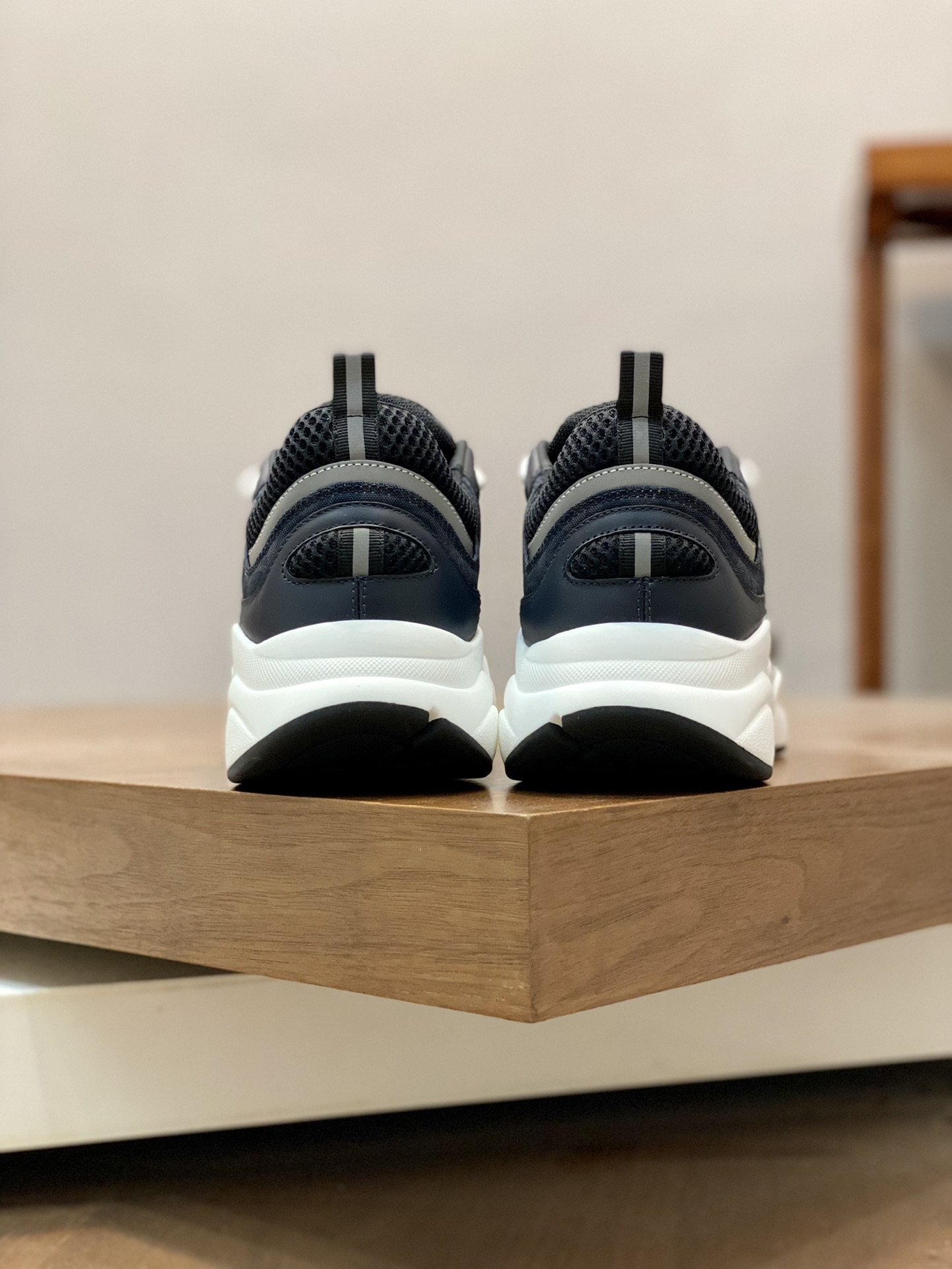 DIOR B22