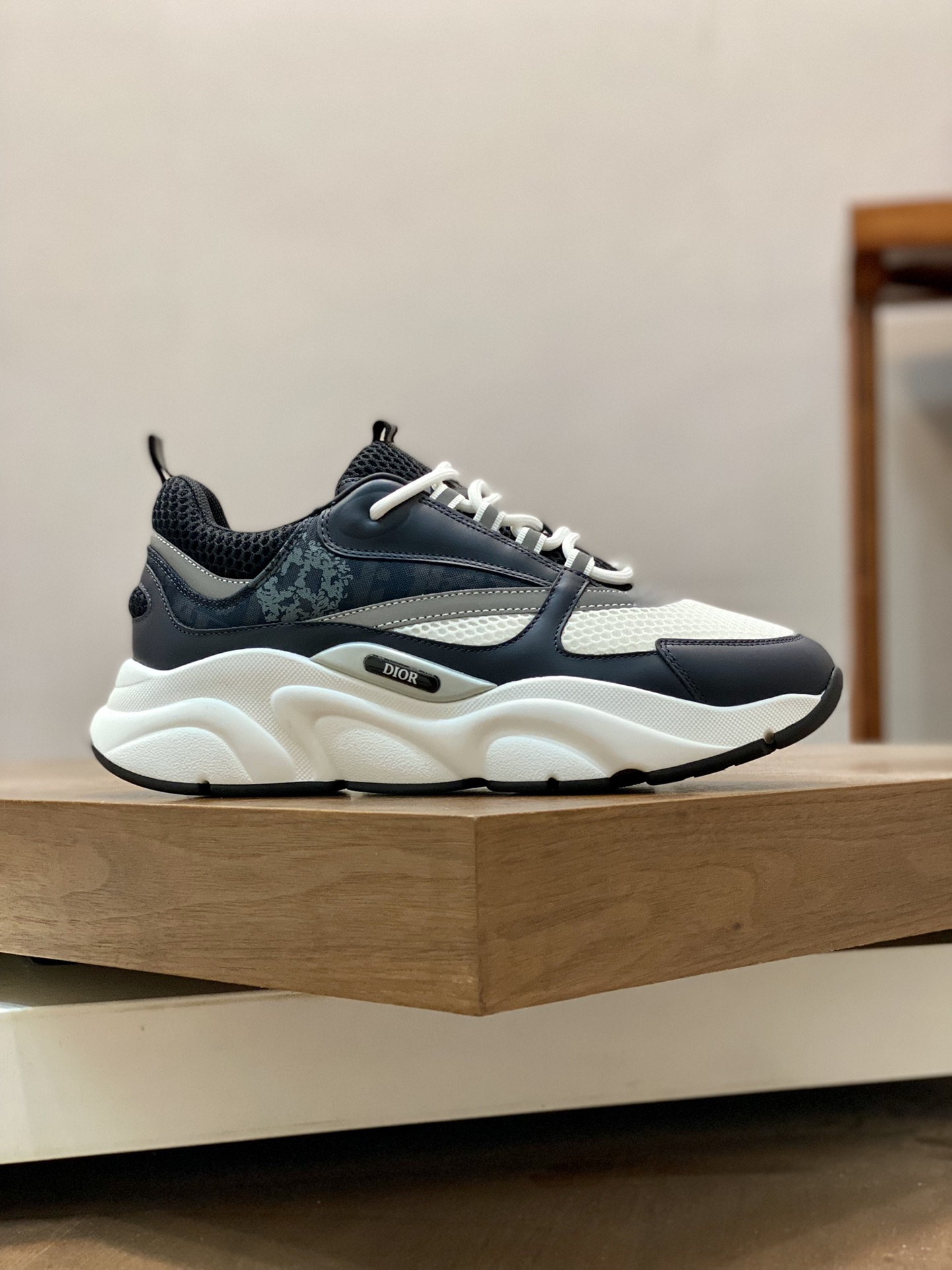 DIOR B22