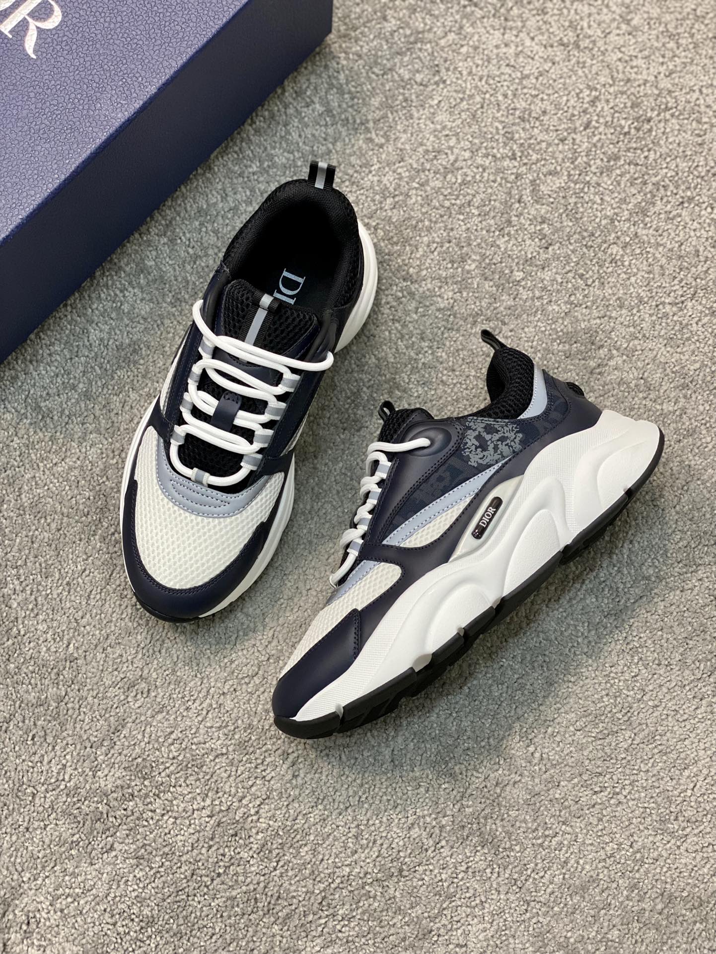 DIOR B22