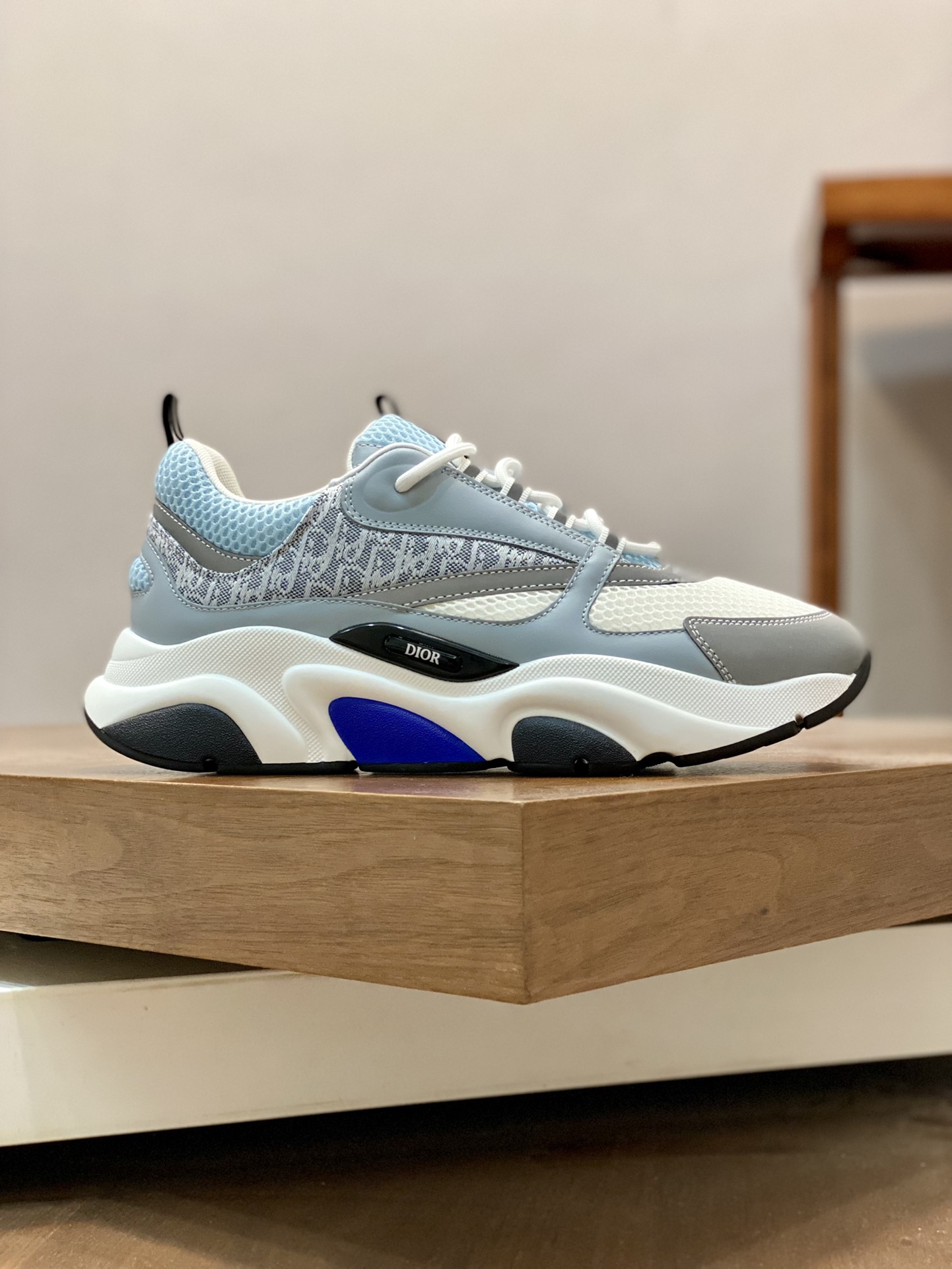 DIOR B22