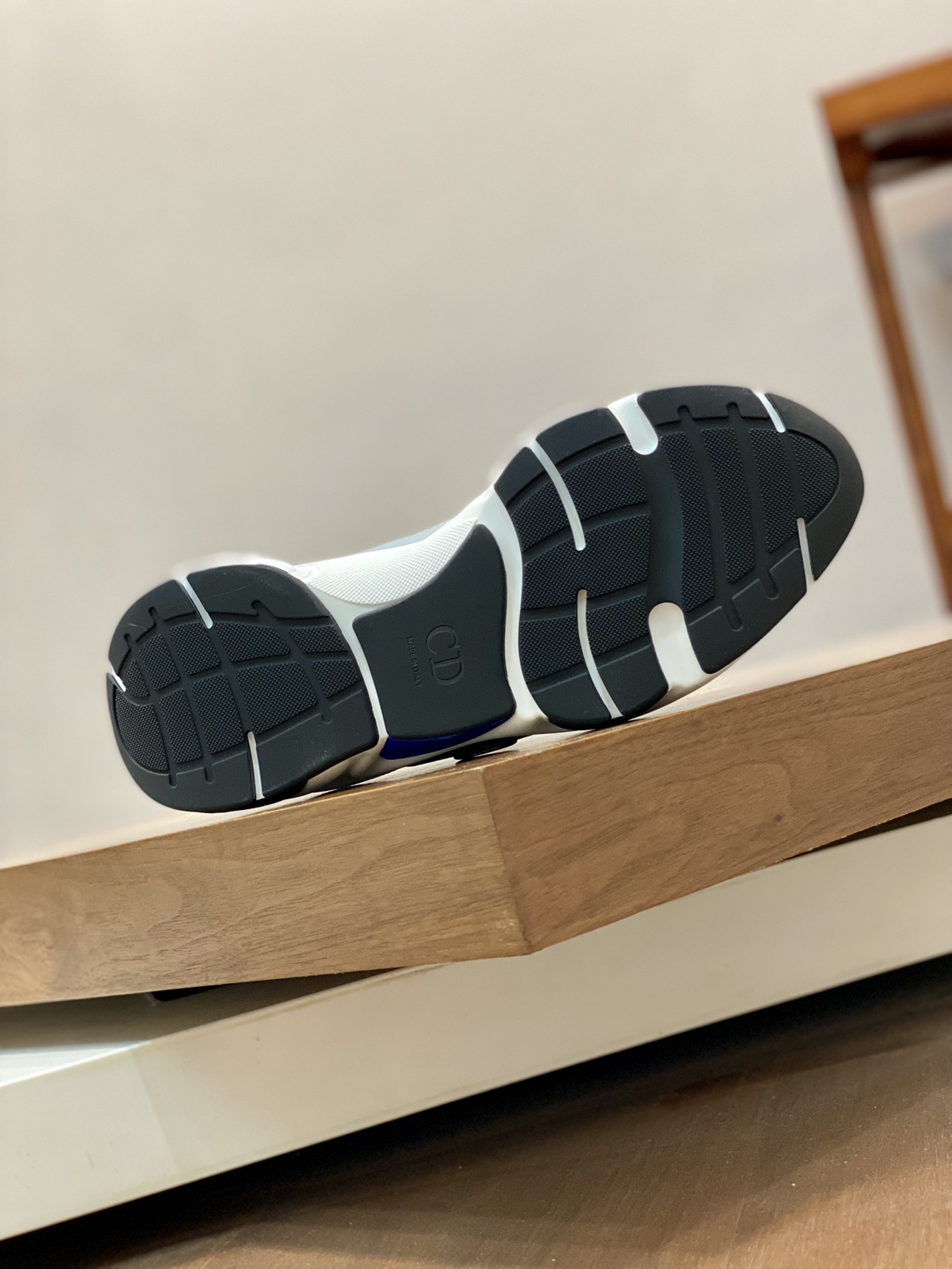 DIOR B22
