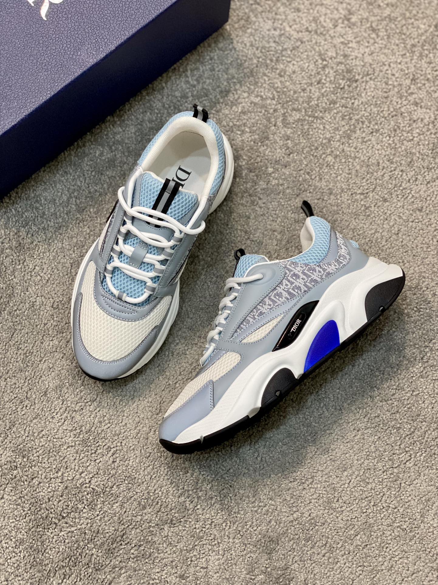 DIOR B22