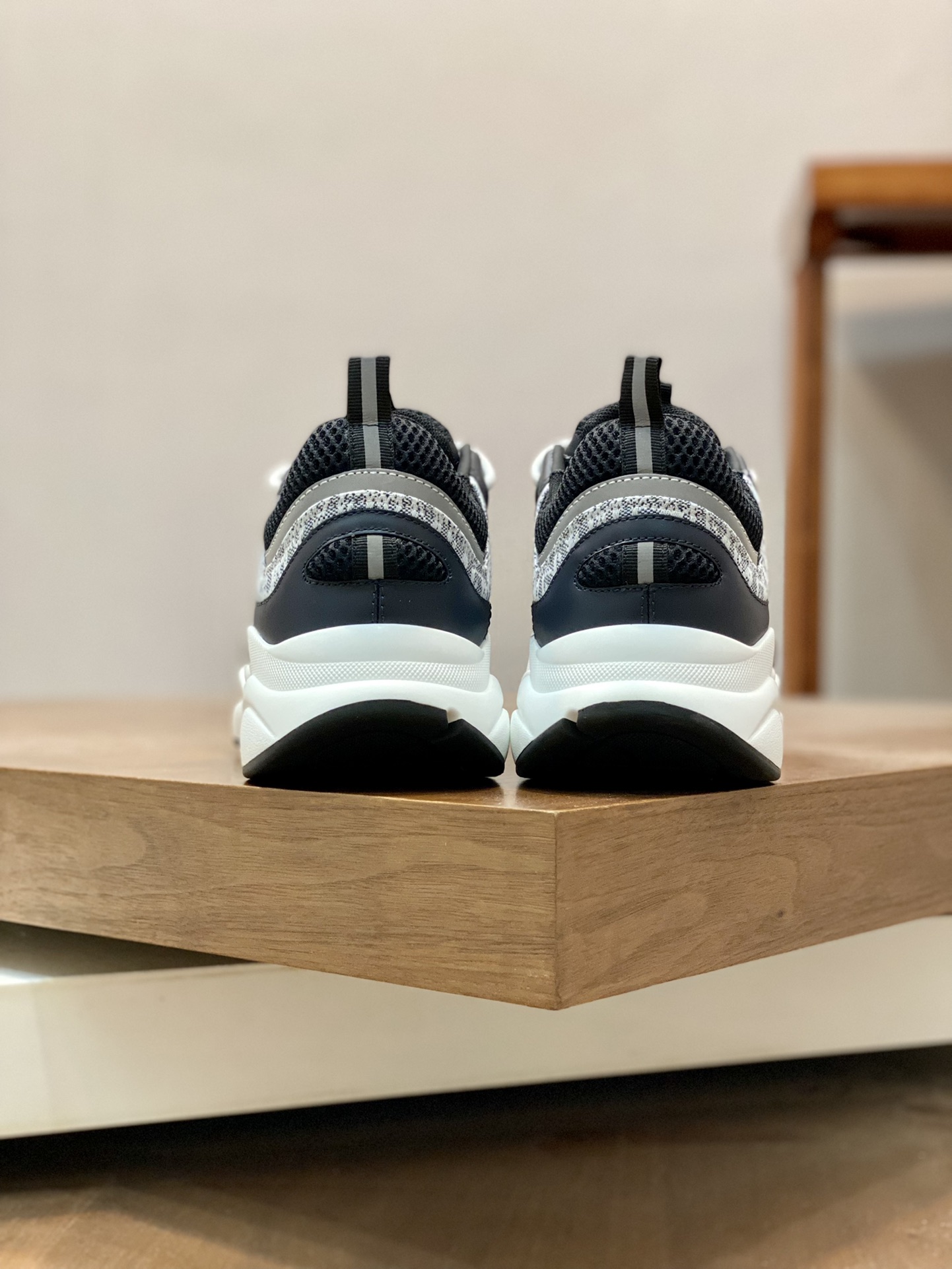 DIOR B22