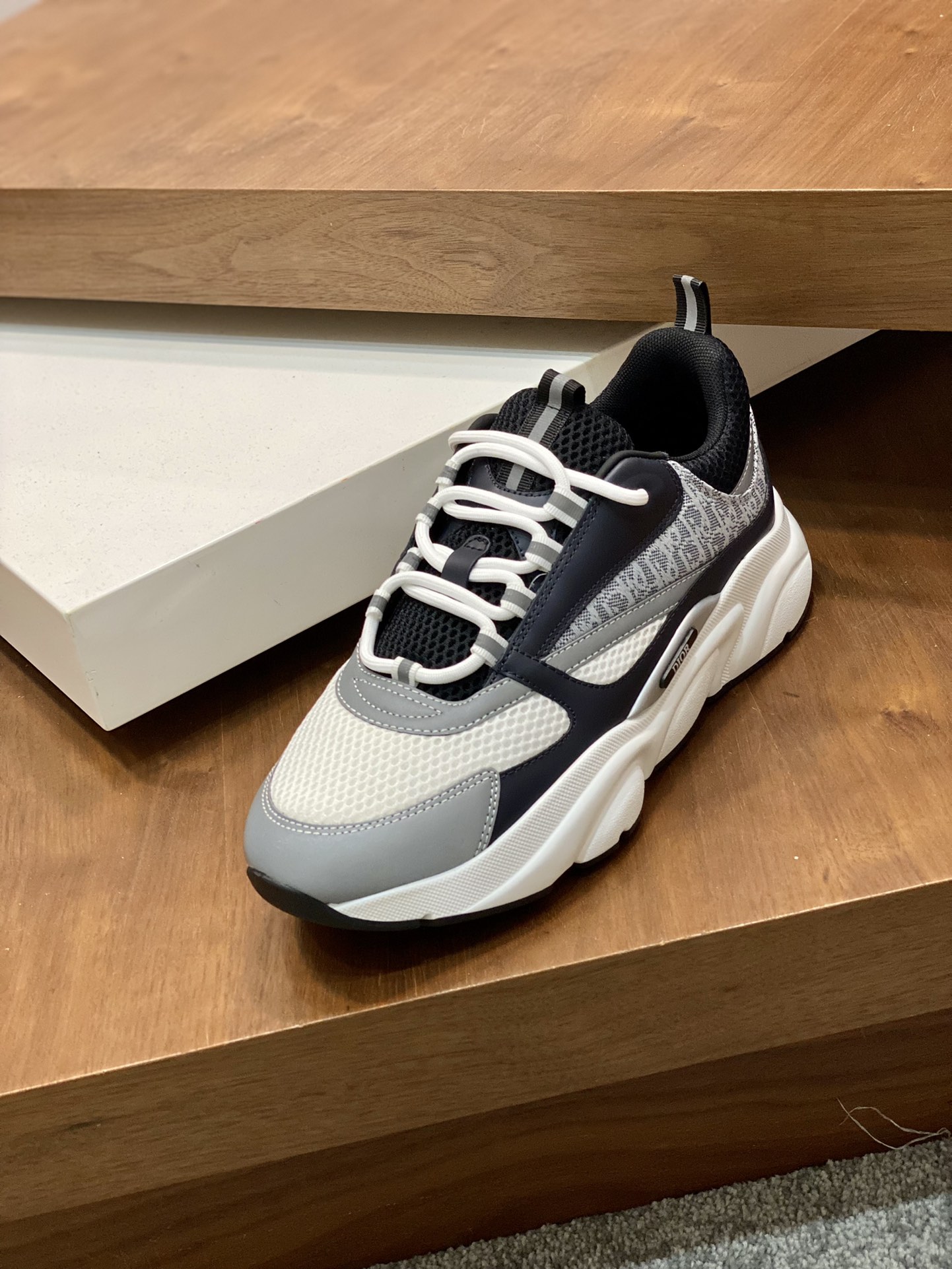 DIOR B22
