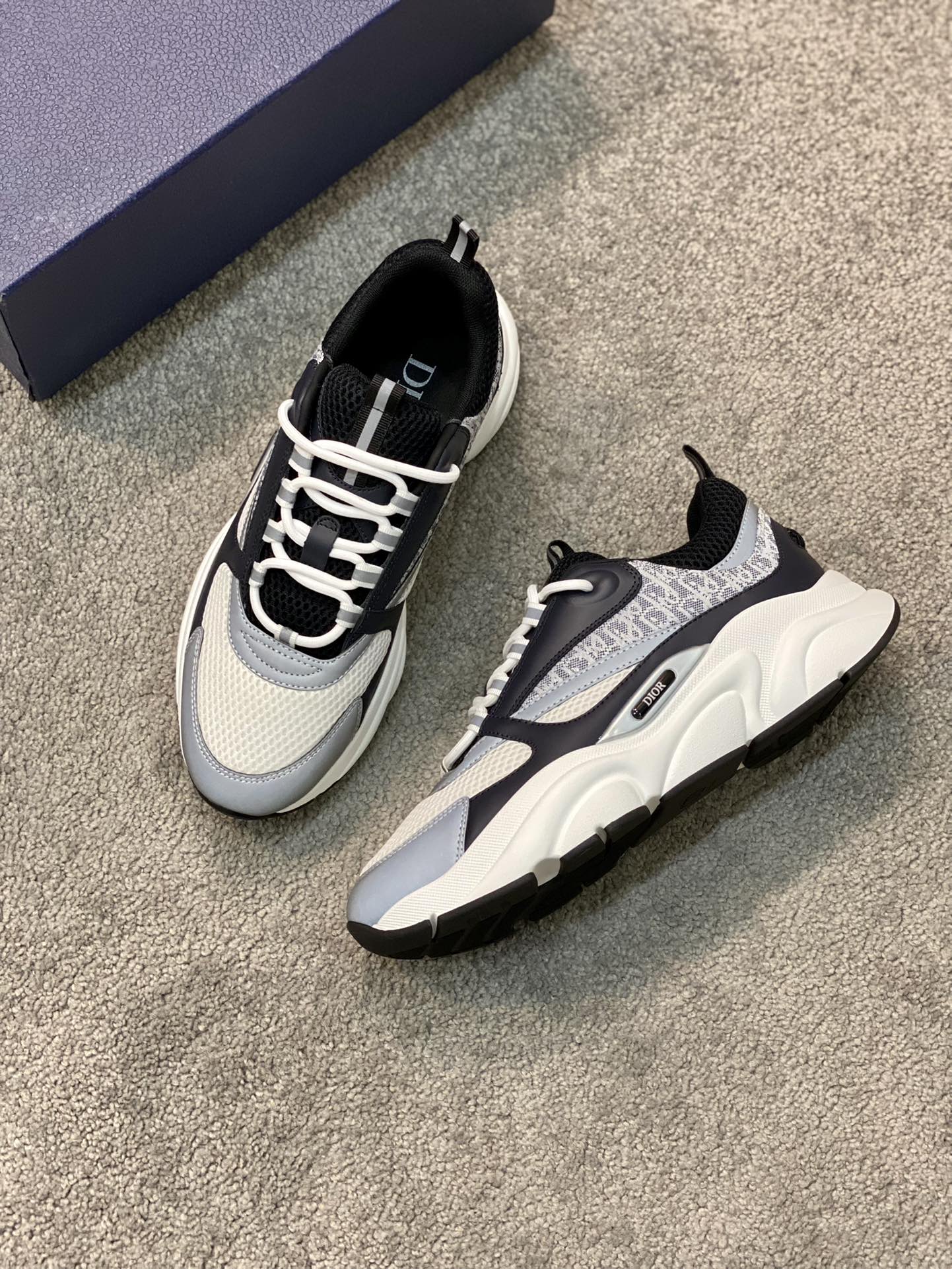 DIOR B22