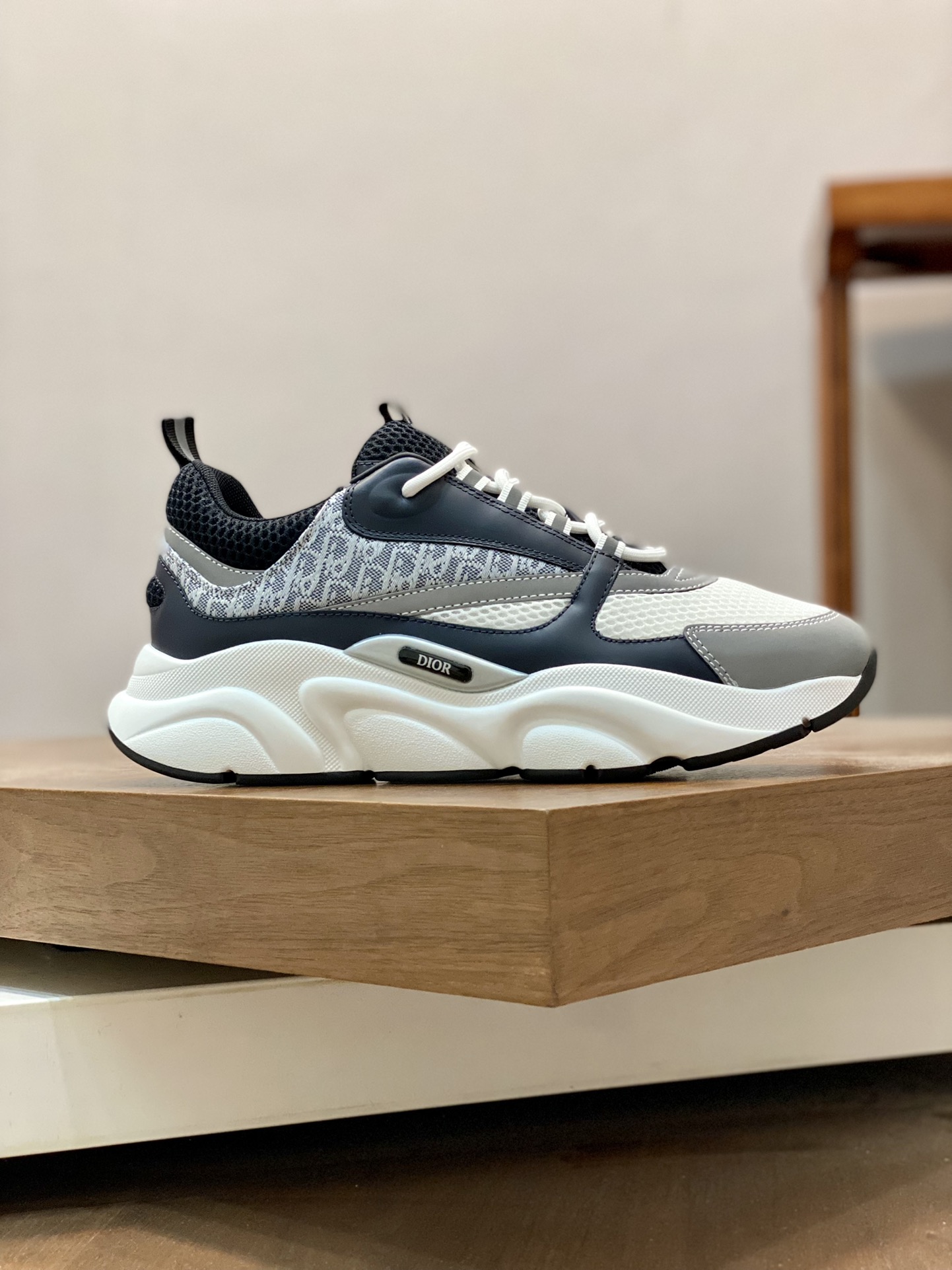 DIOR B22