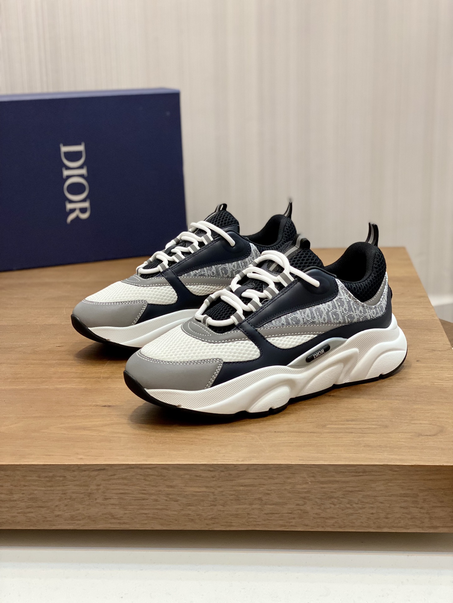DIOR B22
