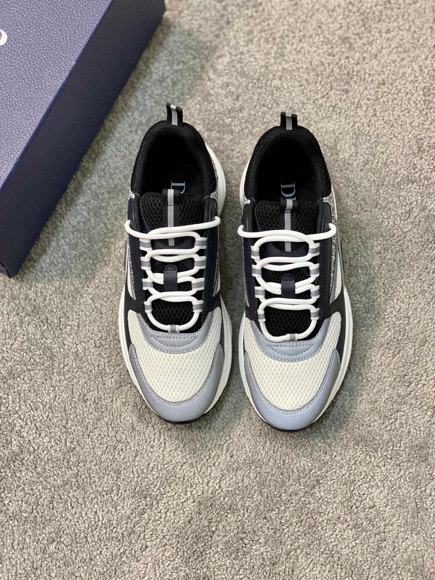 DIOR B22
