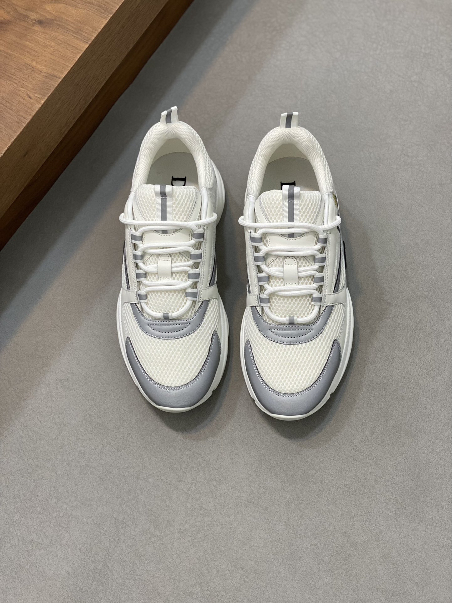 DIOR B22