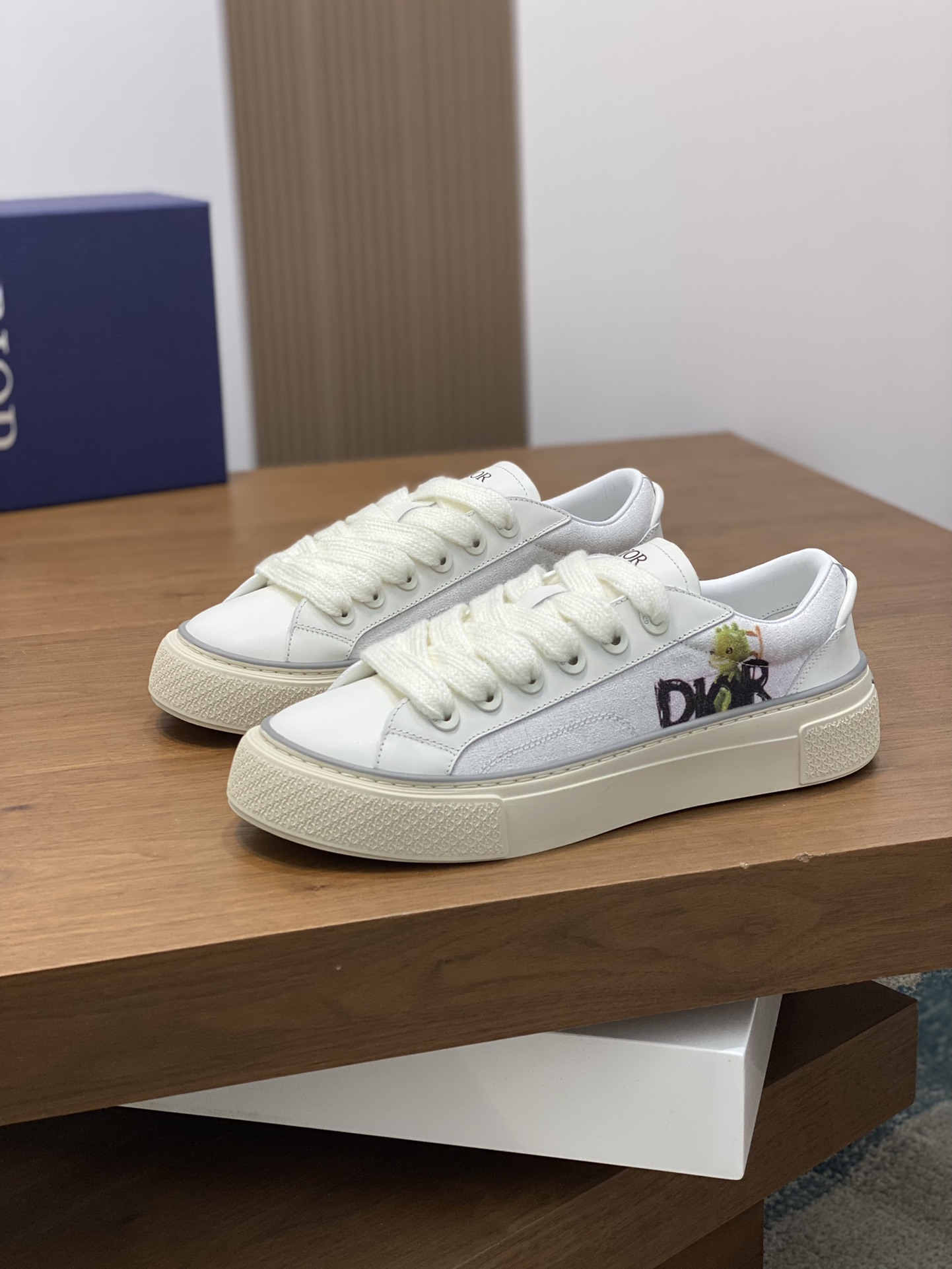 DIOR B33 SHOES 