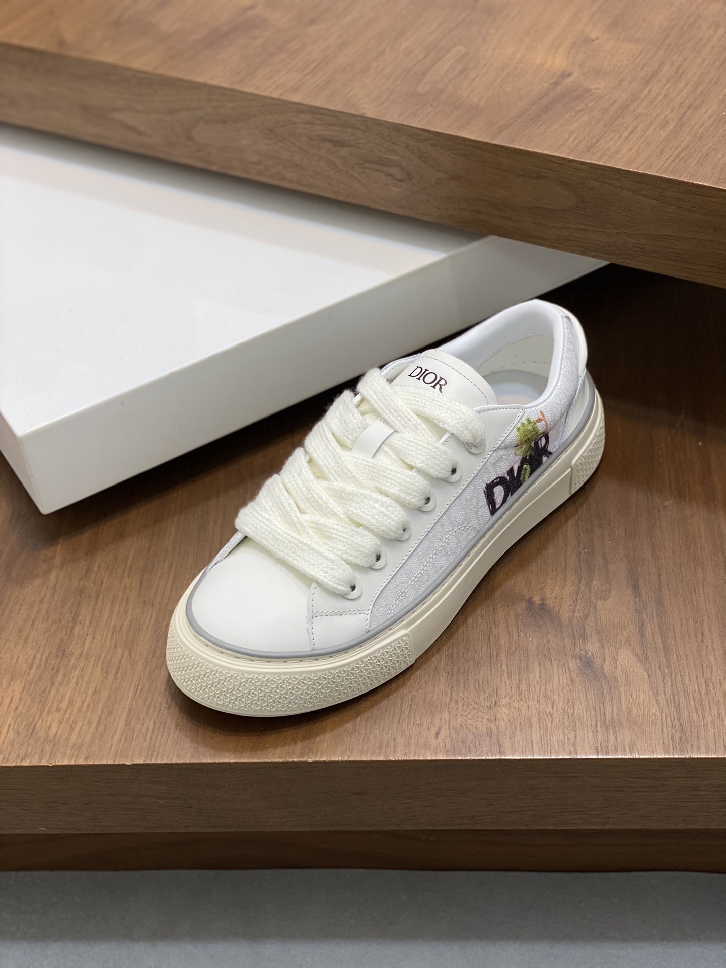 DIOR B33 SHOES 