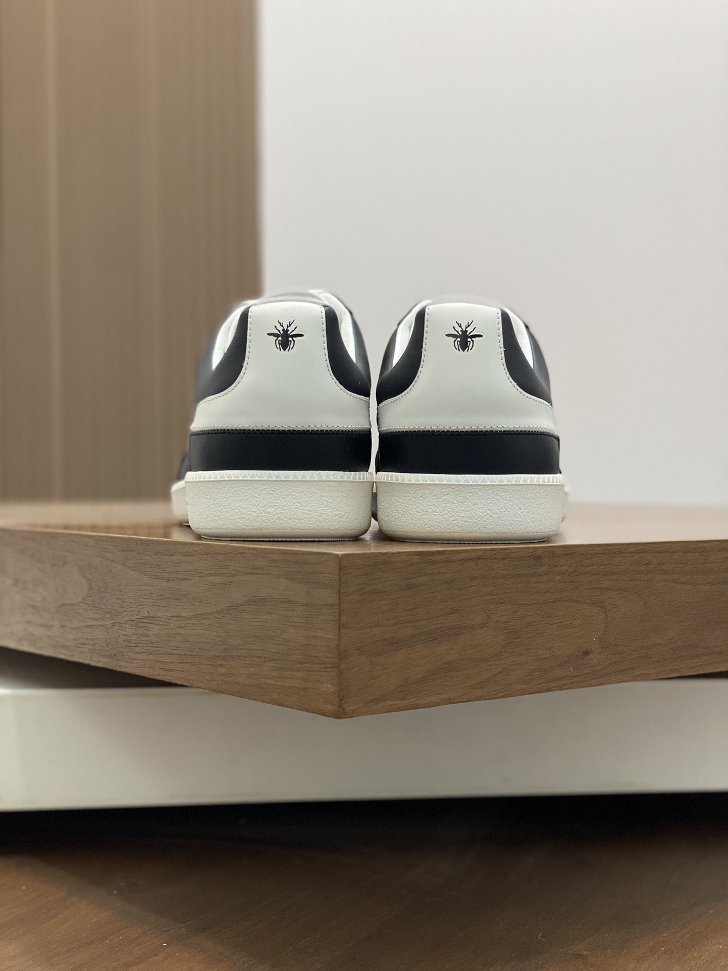 DIOR B01 SHOES 