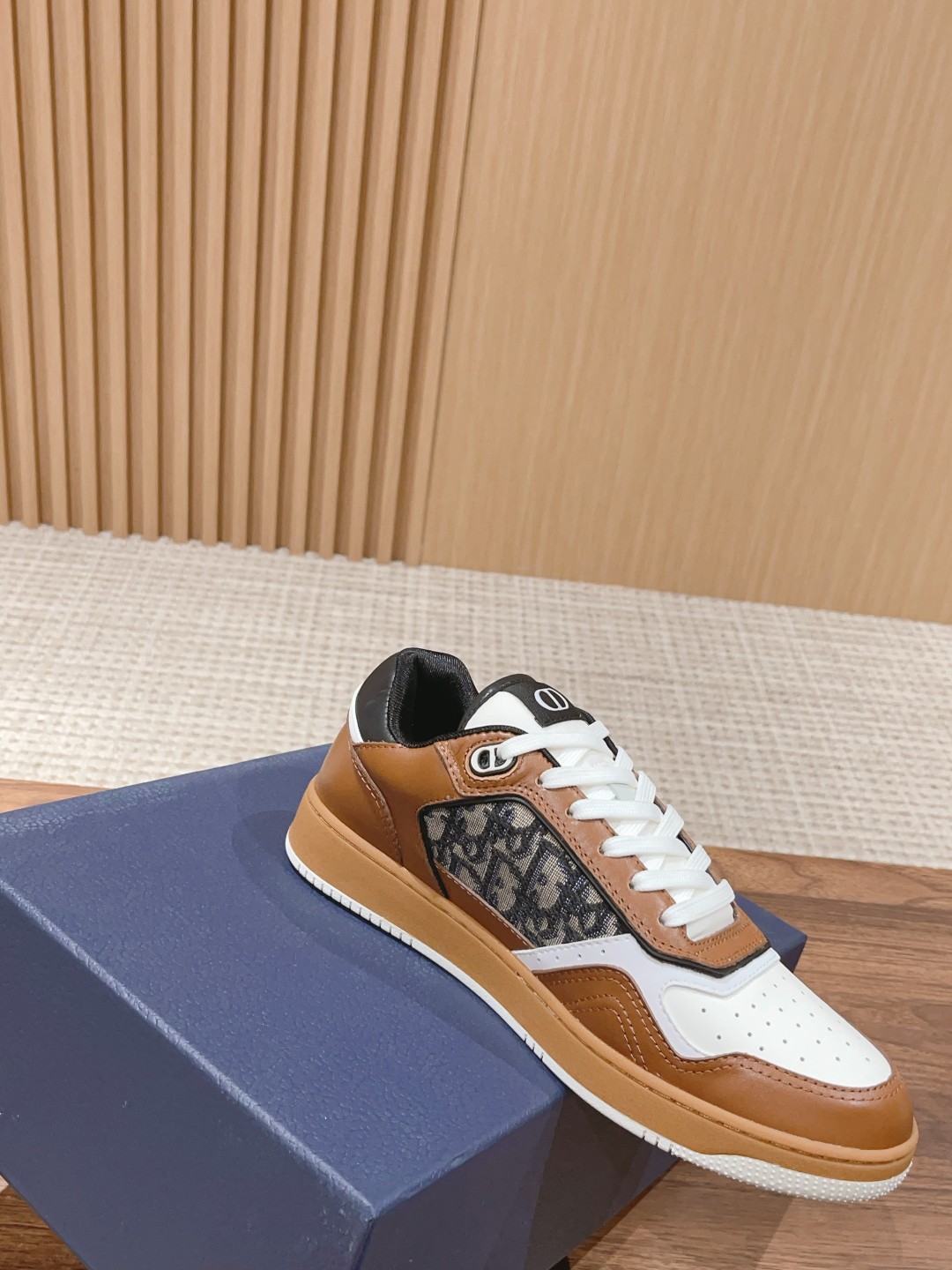 DIOR B27