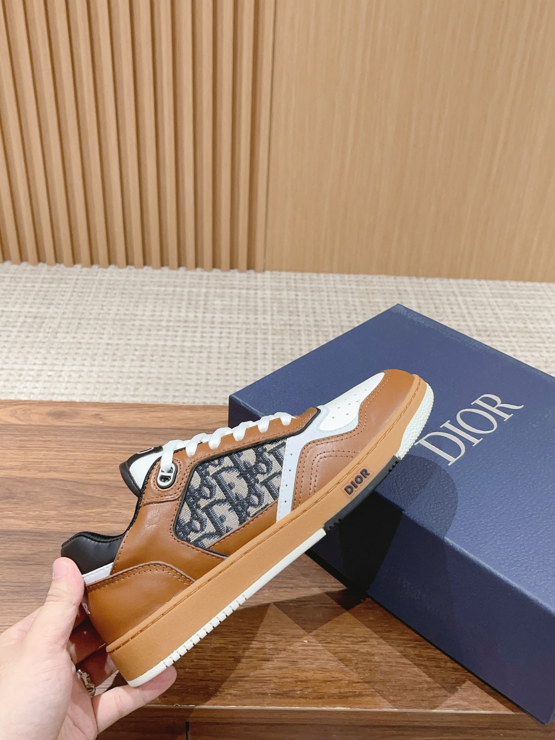 DIOR B27