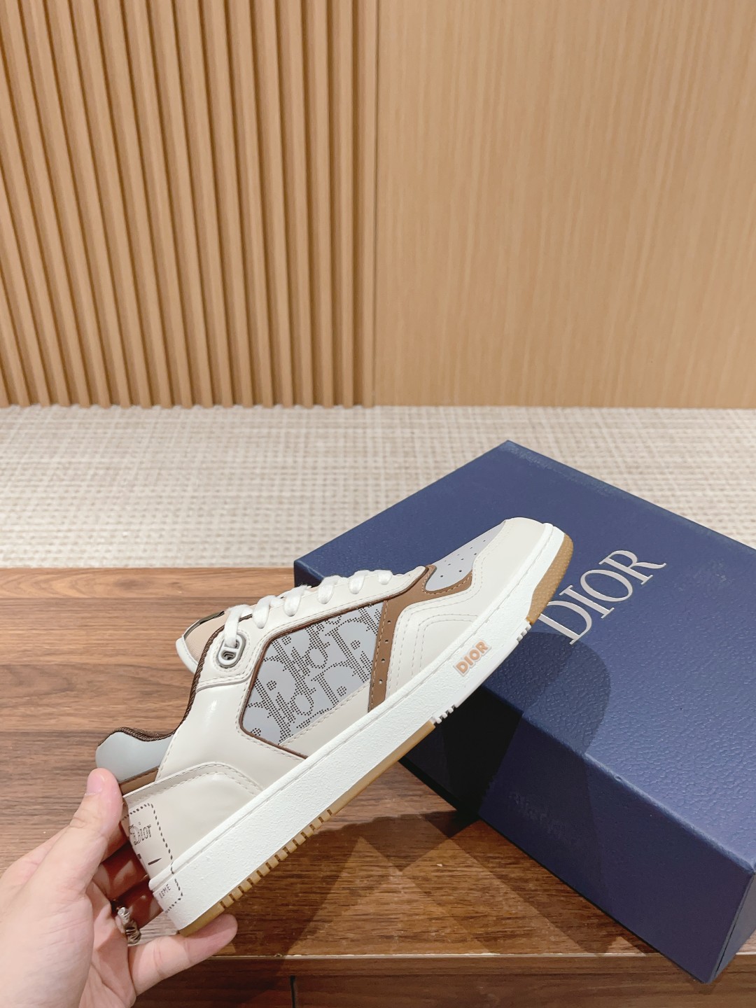 DIOR B27