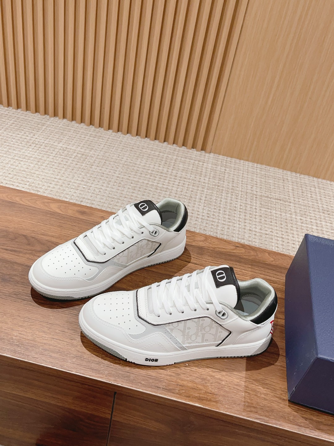 DIOR B27