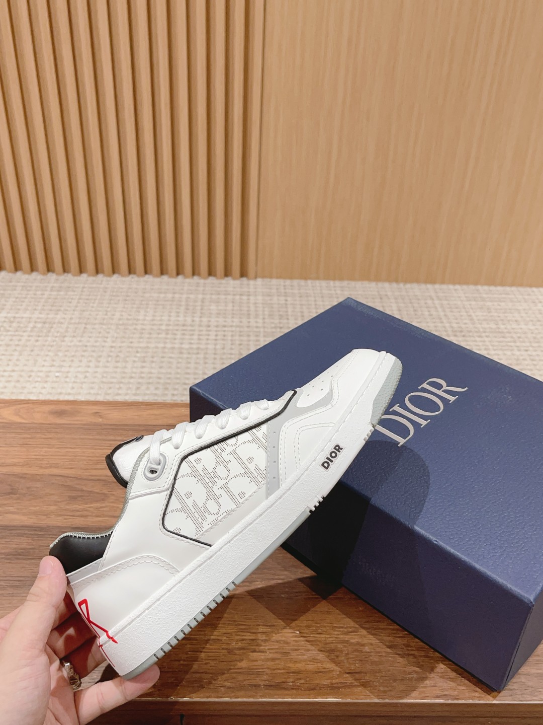 DIOR B27