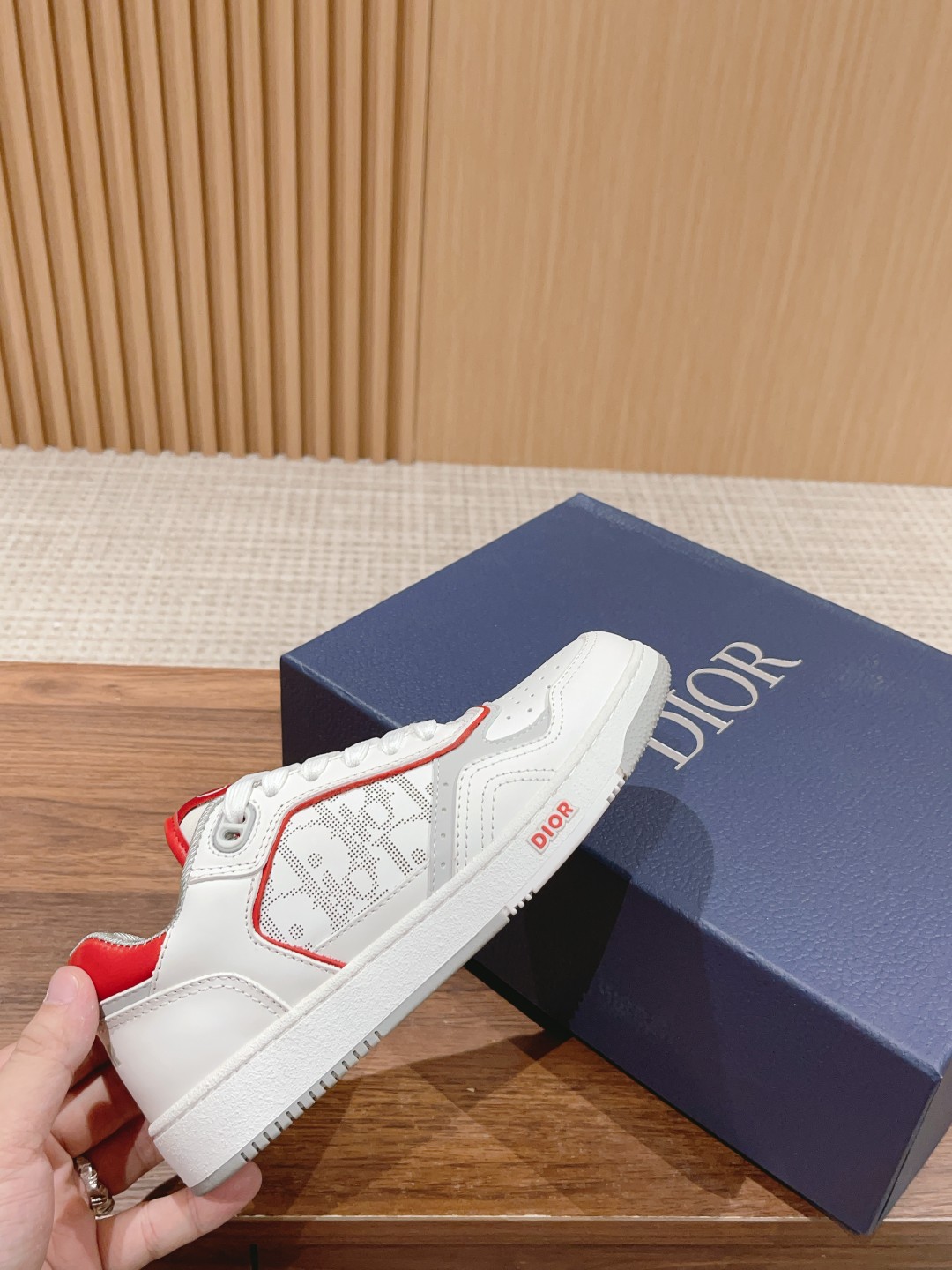 DIOR B27