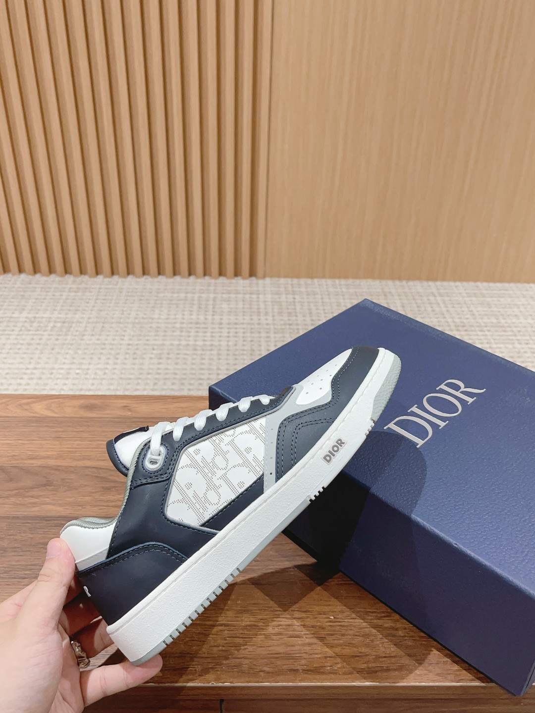 DIOR B27