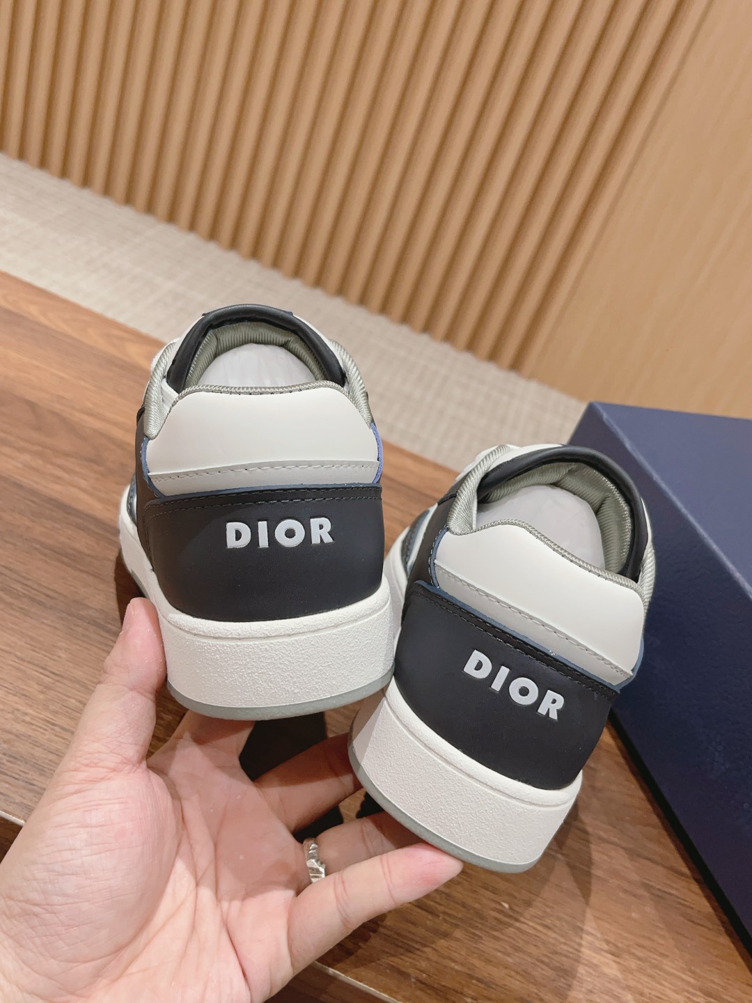 DIOR B27