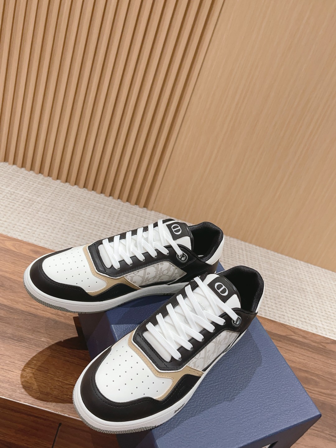 DIOR B27
