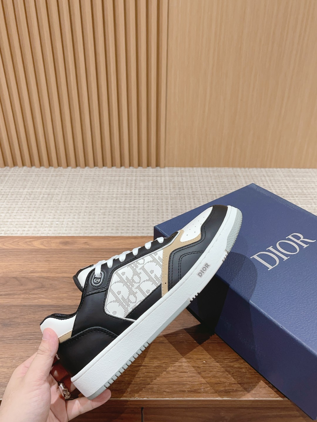 DIOR B27