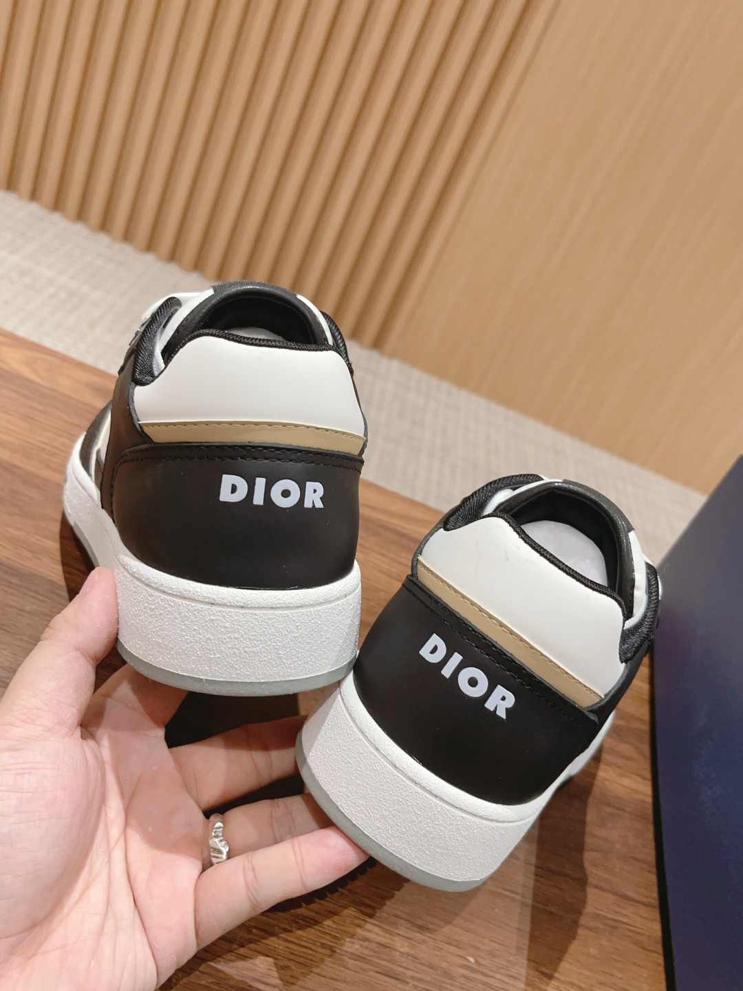 DIOR B27