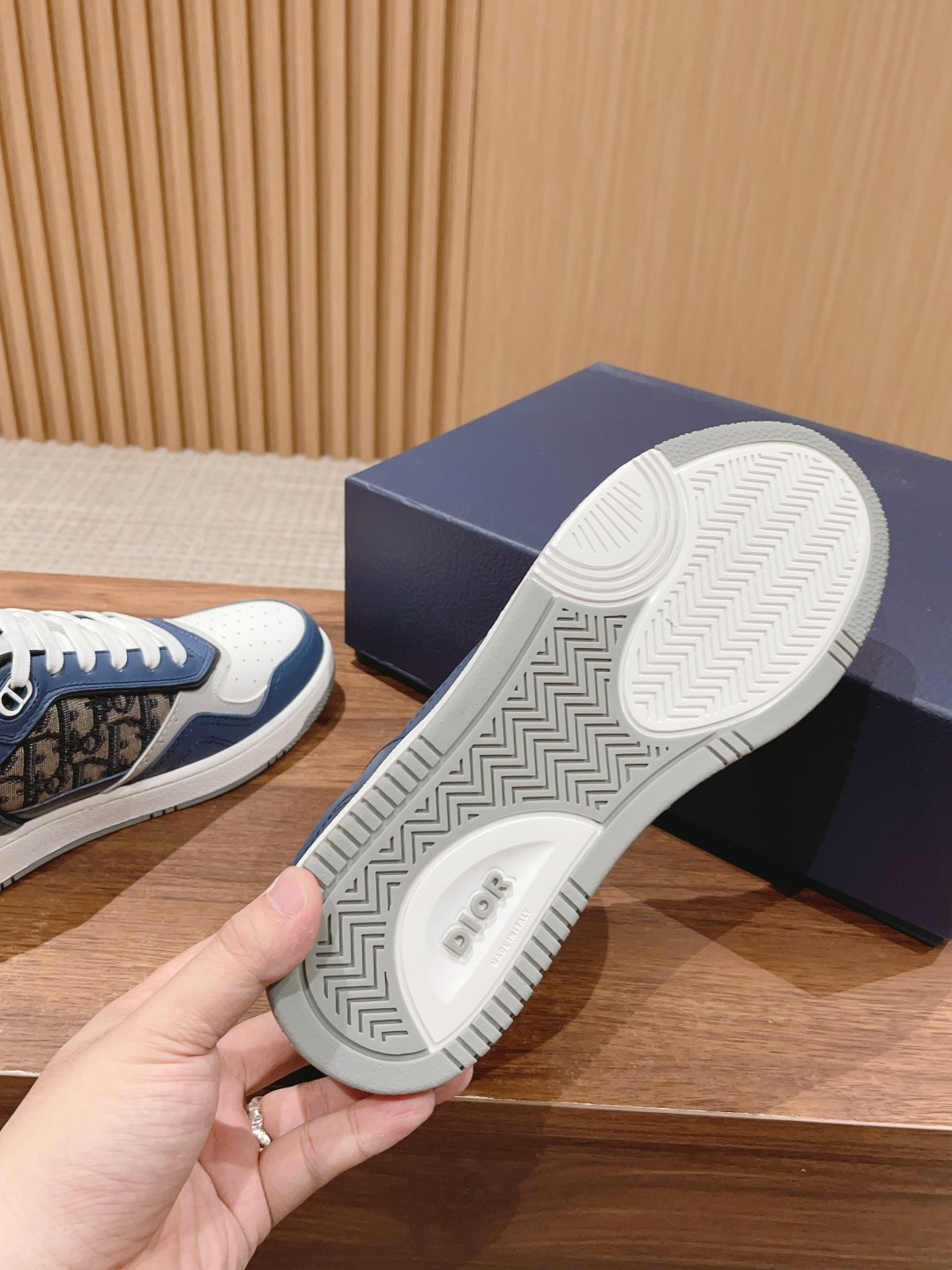 DIOR B27