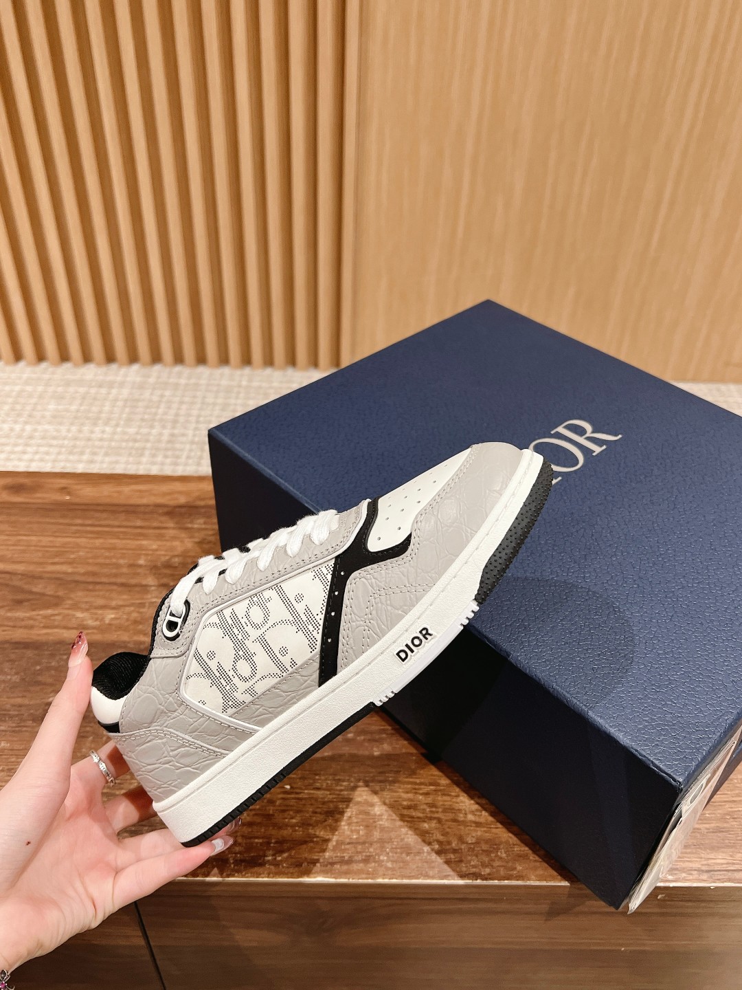 DIOR B27