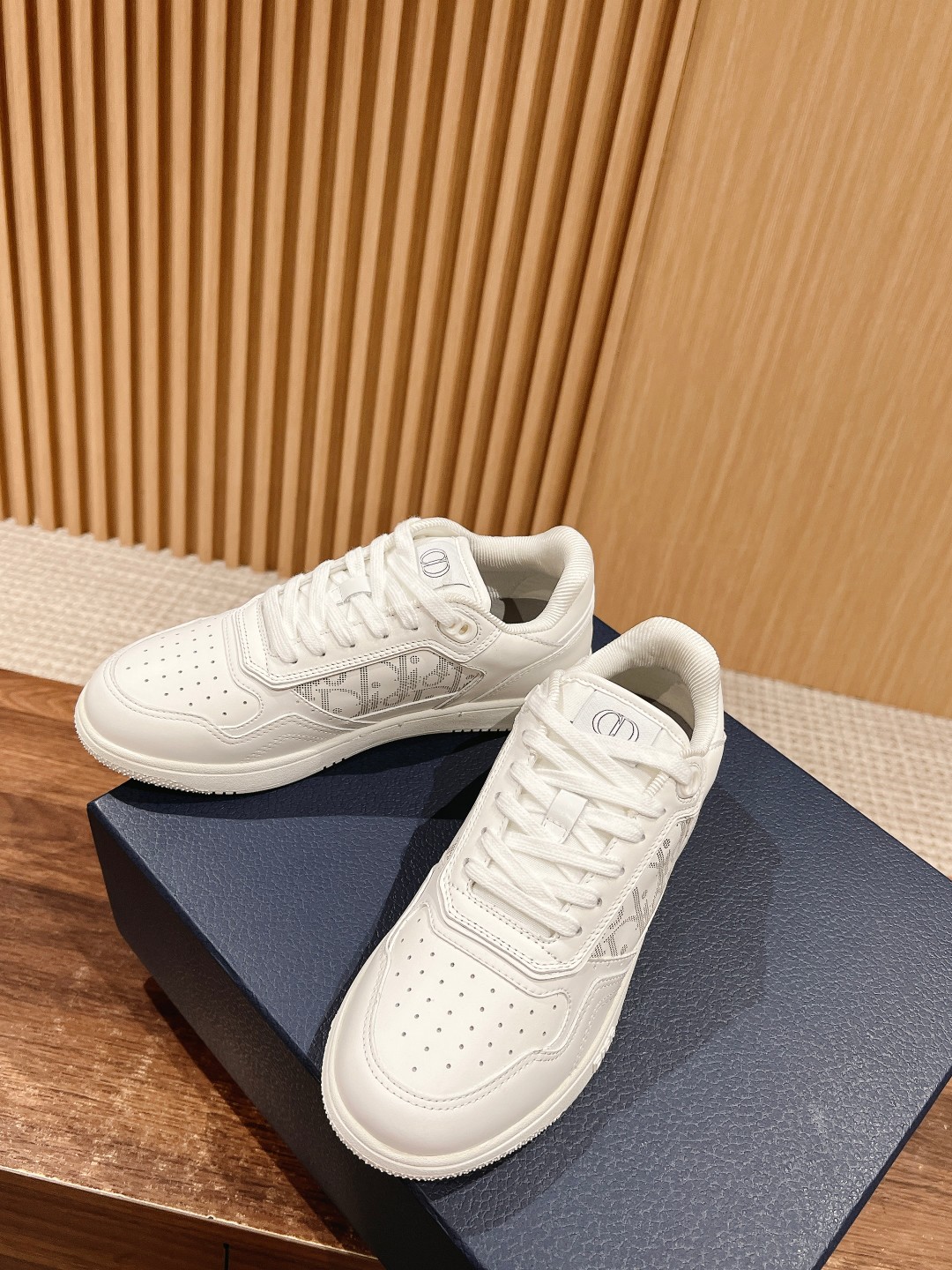 DIOR B27