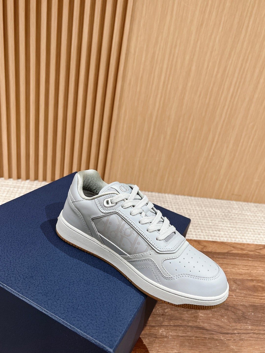 DIOR B27