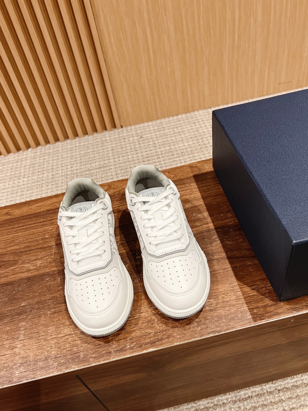 DIOR B27