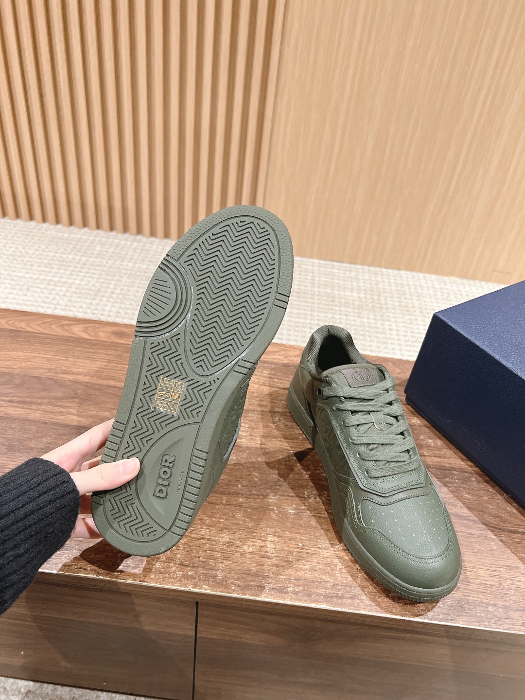 DIOR B27