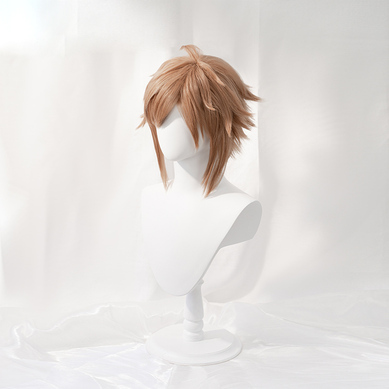 Game Kingdom Hearts Sora Cosplay Wig