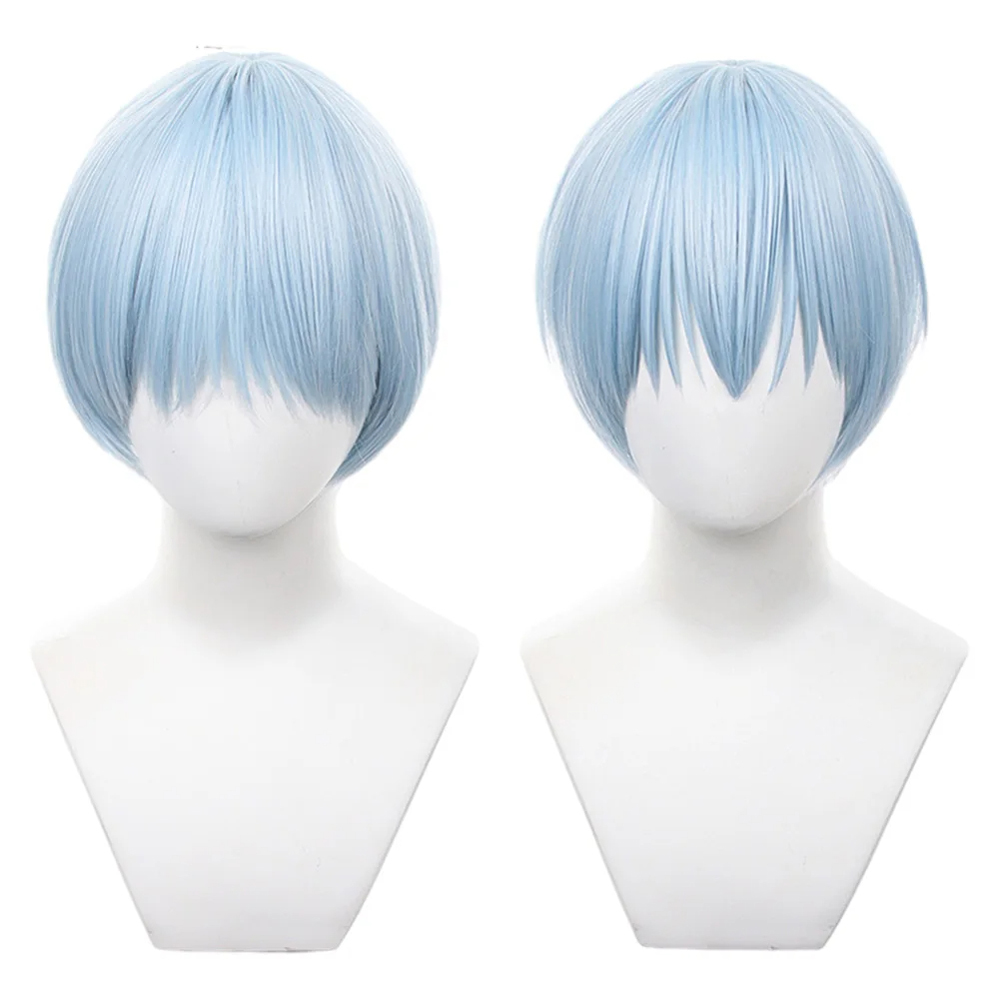 Frieren Beyond Journey's End Himmel Anime Wig, Heat Resistant Synthetic Hair, Carnival & Halloween Party Accessories