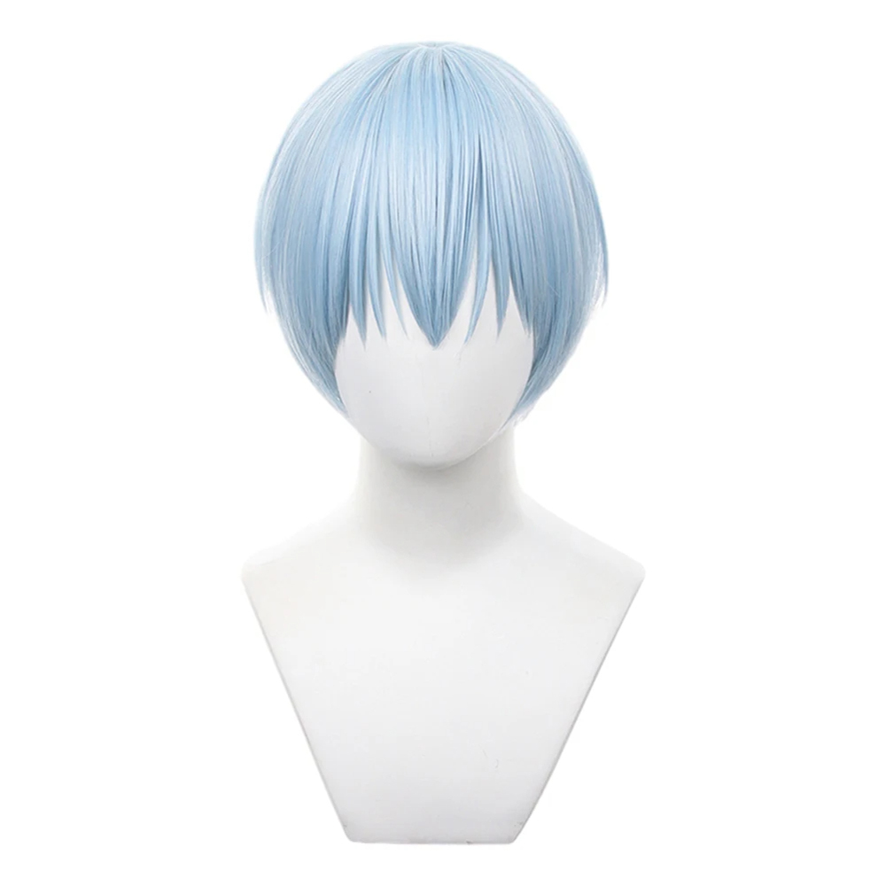Frieren Beyond Journey's End Himmel Anime Wig, Heat Resistant Synthetic Hair, Carnival & Halloween Party Accessories