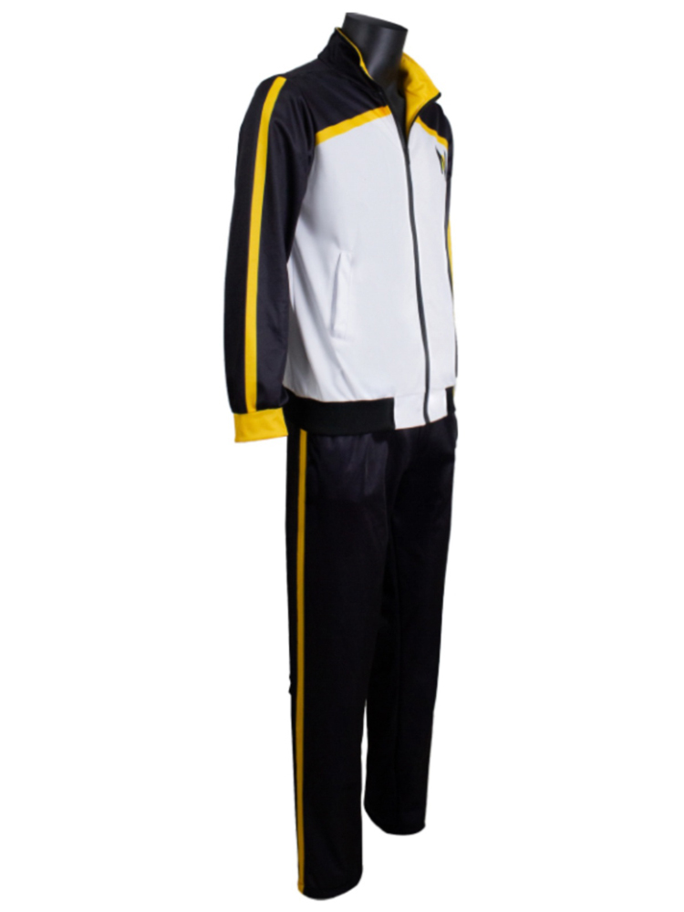 Anime Re: Life In A Different World From Zero Subaru Natsuki Cosplay Costume Cosplay Wig 30CM