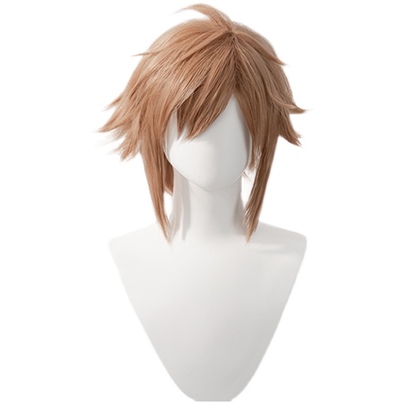 Game Kingdom Hearts Sora Cosplay Wig