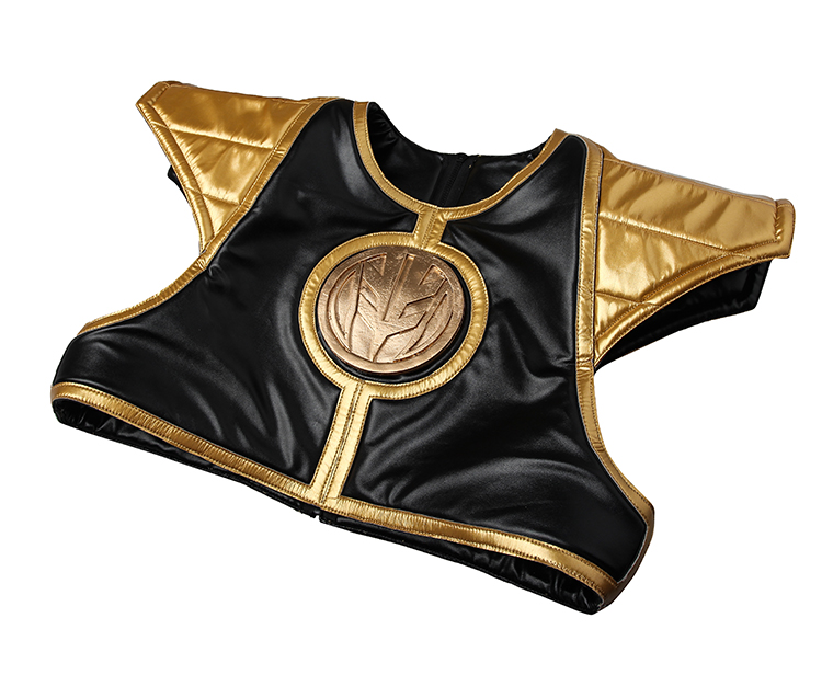 Power Rangers Kyoryu Sentai White Ranger Cosplay Costume Boots