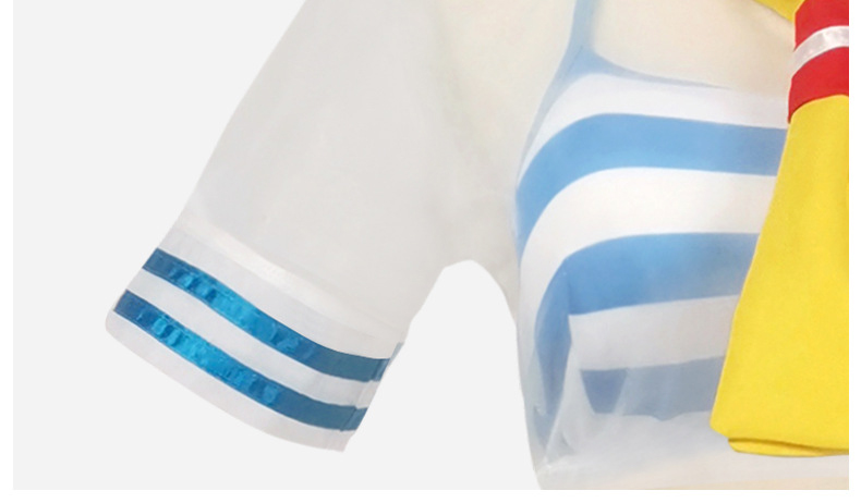 Re: Life In A Different World From Zero Rem swimsuit Cosplay Costume