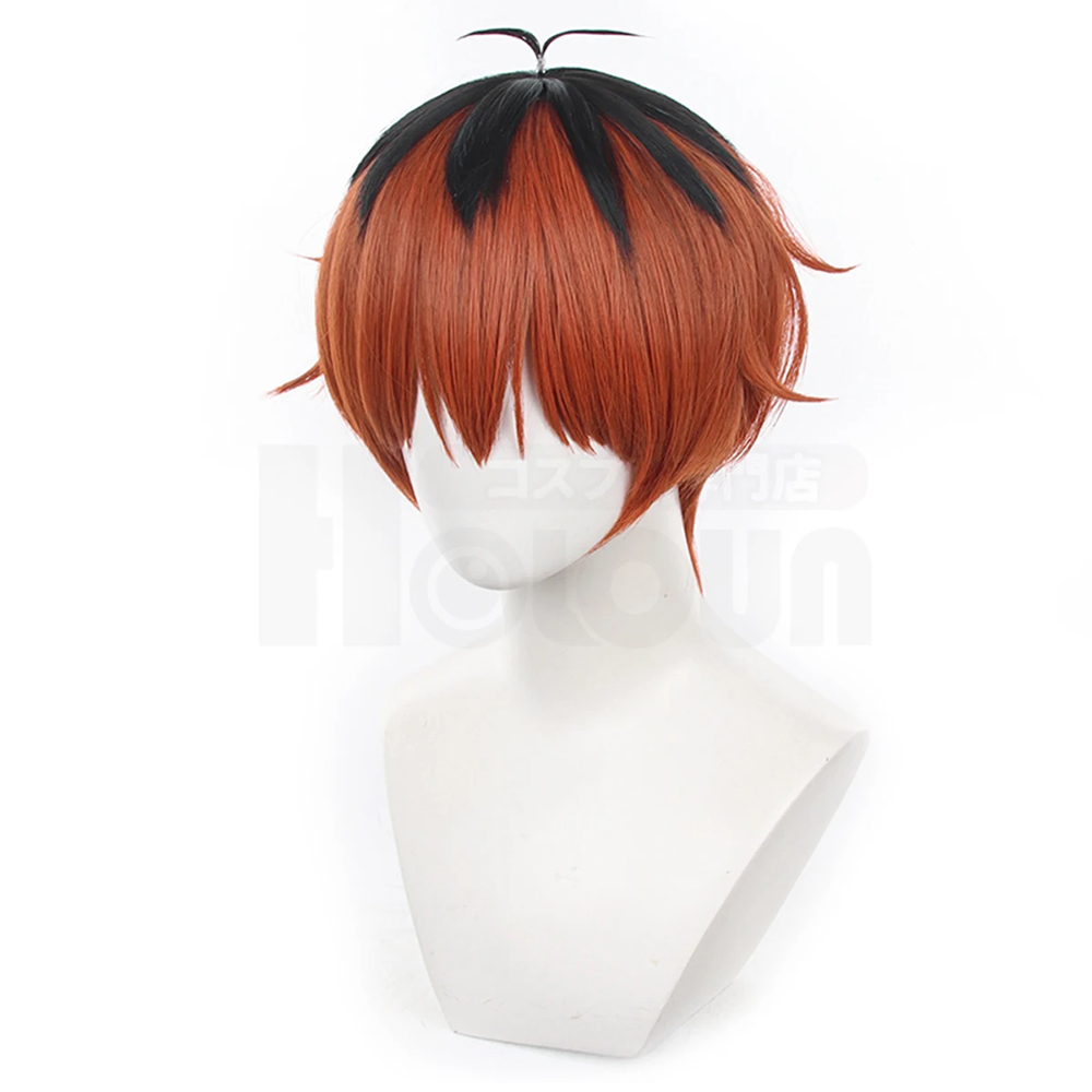 Frieren Beyond Journey's End Stark Anime Cosplay Wig Christmas Gift 
