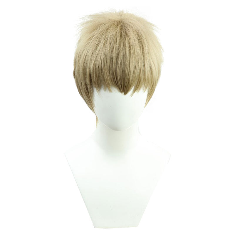 Attack on Titan Last Season Falco Grice Cosplay Wigs