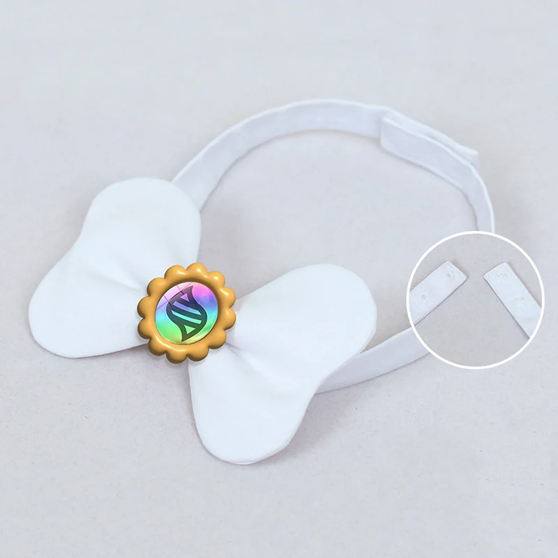 PM Legends: ZA Lebanne Cosplay Costume