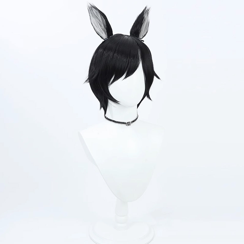 Delicious in Dungeon Izutsumi Asebi Cosplay Wigs With Ear Props