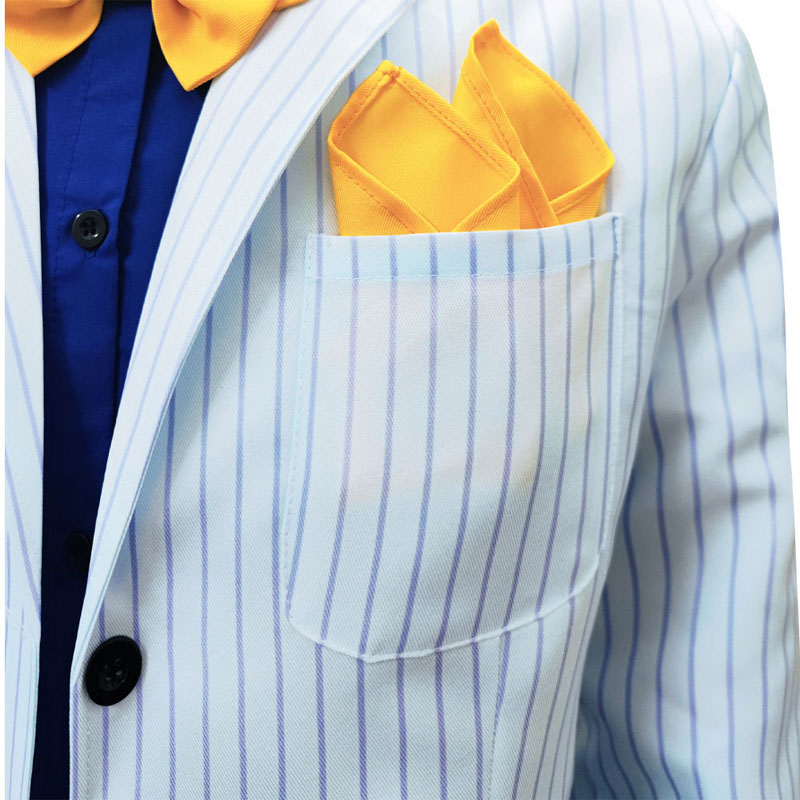 Anime Black Butler Ciel Phantomhive Fullset Cosplay Costumes