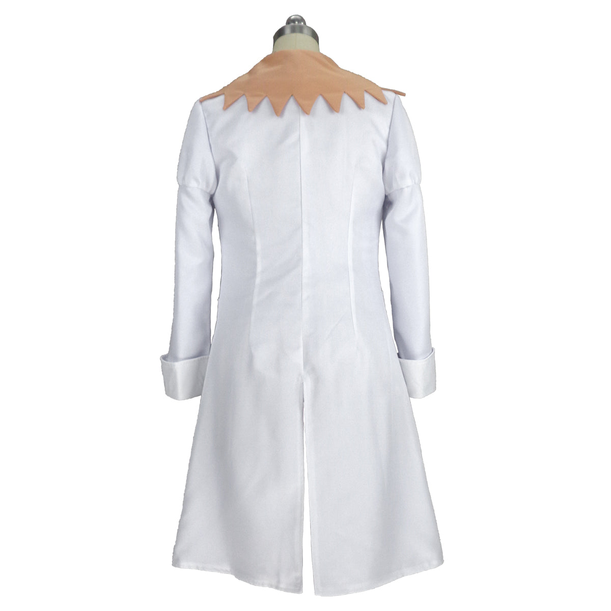 Pokemon Scarlet and Violet Sada Cosplay Costume