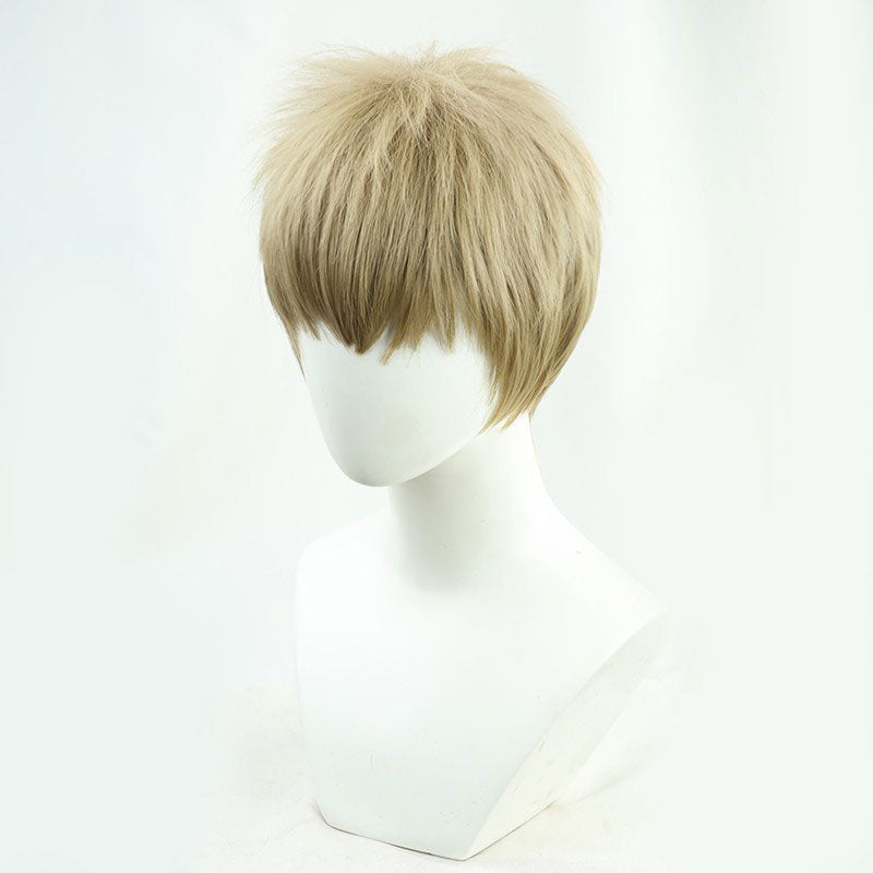 Attack on Titan Last Season Falco Grice Cosplay Wigs