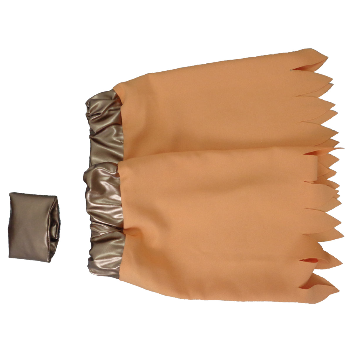 Pokemon Scarlet and Violet Sada Cosplay Costume